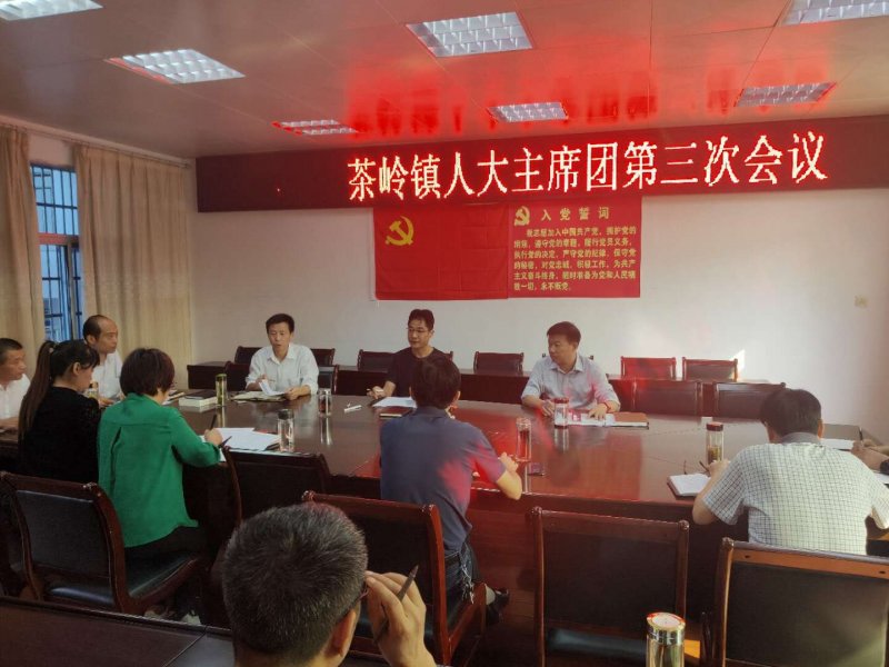 茶岭镇人大召开2020年度主席团第三次会议