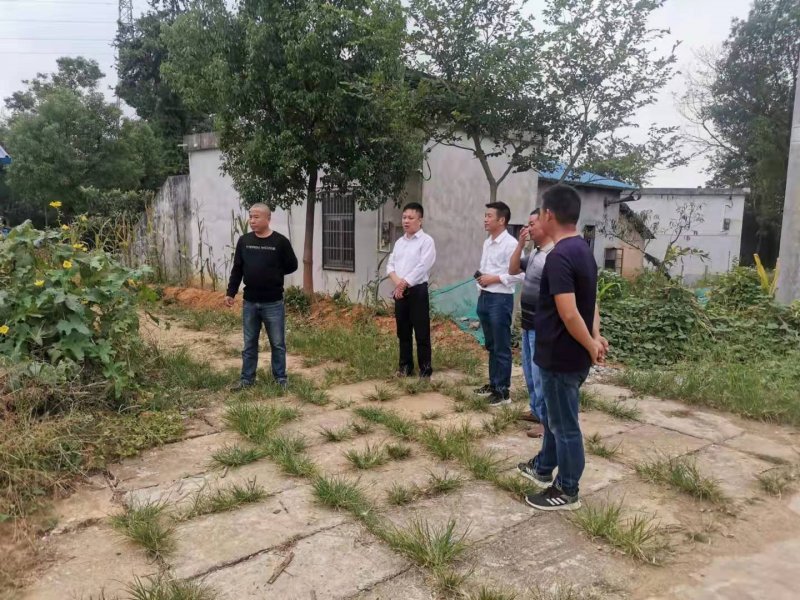 高河镇人大组织开展人居环境整治工作视